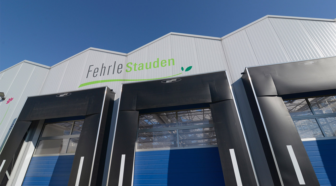 Fehrle Stauden Halle