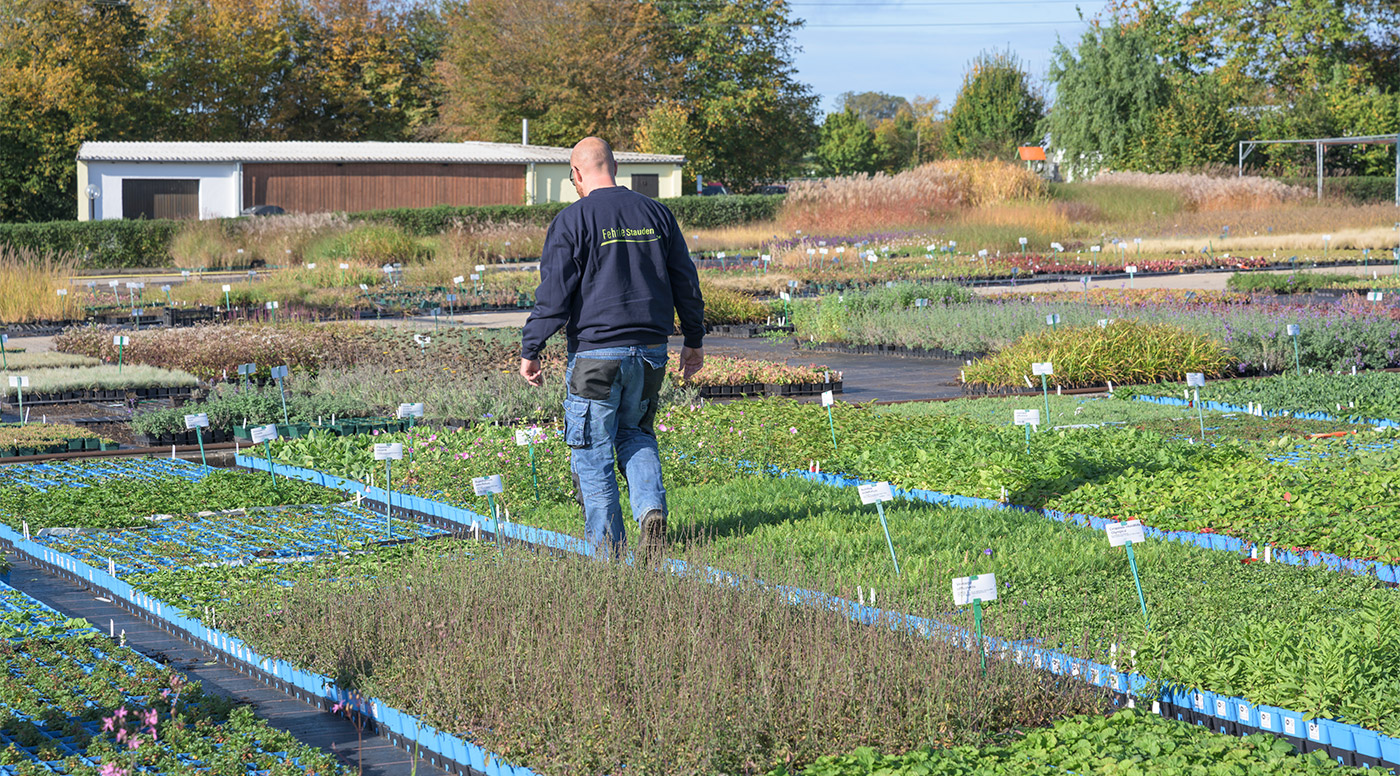Fehrle Stauden Stellenangebote jobs