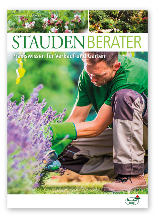 staudenberater