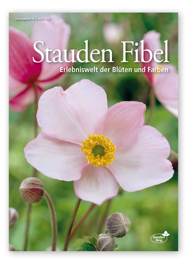 staudenfibel