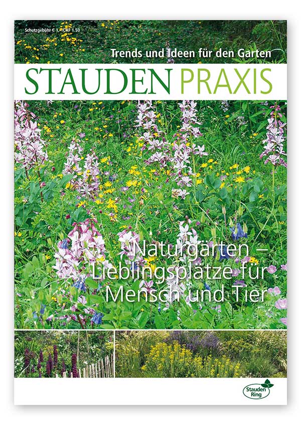 Staudenpraxis-Trends
